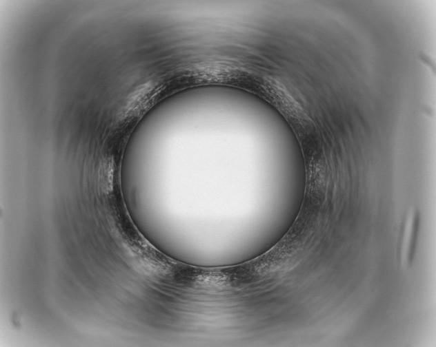 X0000097290694200802221312