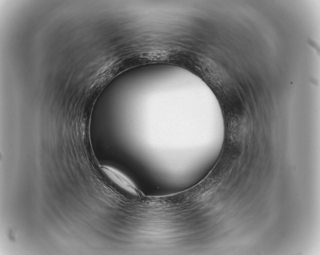 X0000097290697200802221312