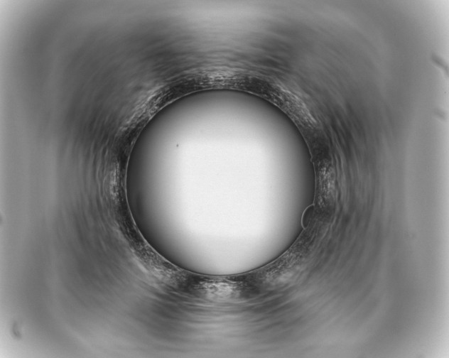 X0000097290698200802221312