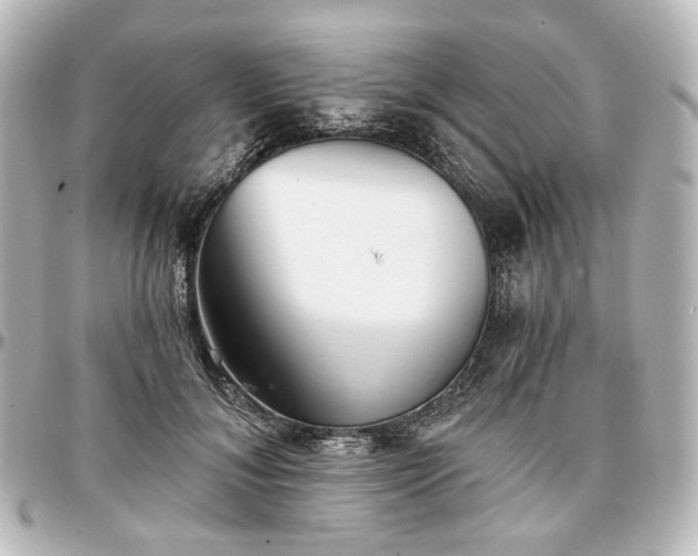 X0000097290700200802221312