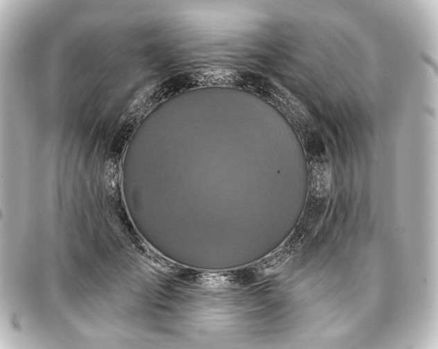 X0000097290701200802221312