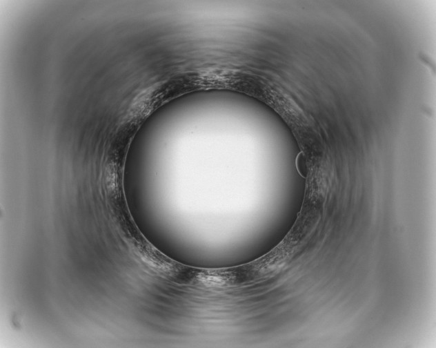 X0000097290706200802221312