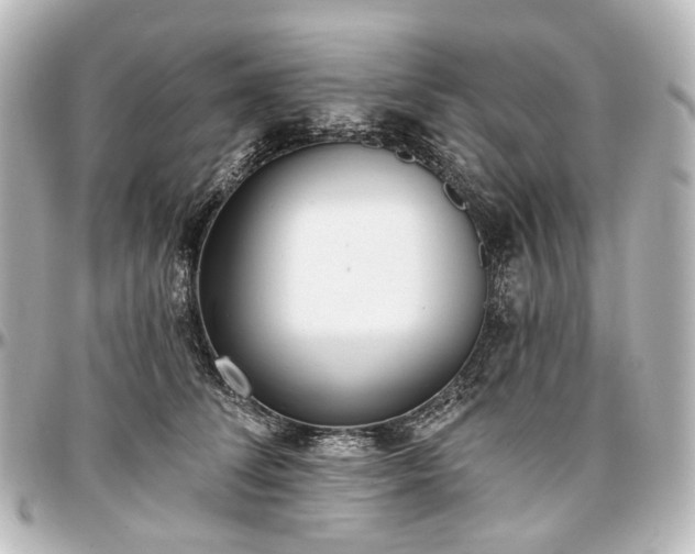X0000097290708200802221312