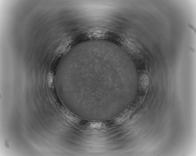 X0000097290709200802221312