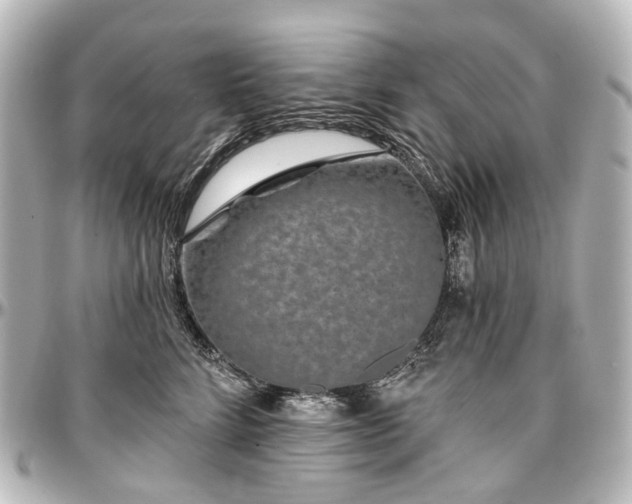 X0000097290712200802221312