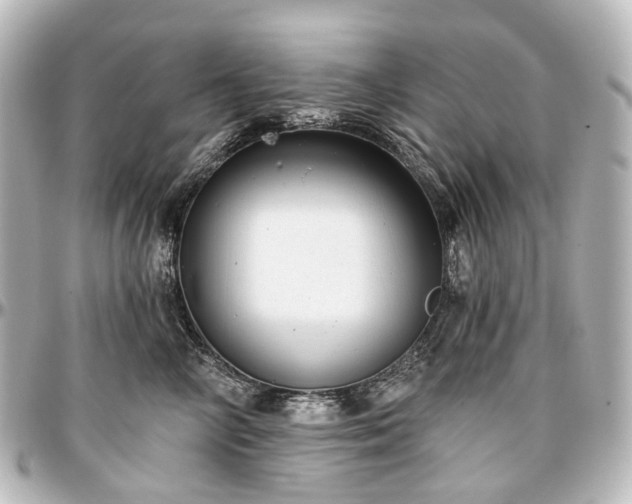 X0000097290714200802221312