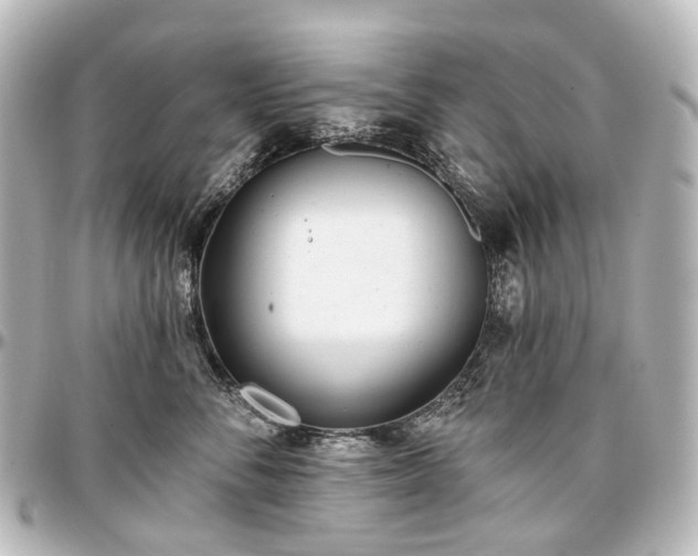 X0000097290716200802221312