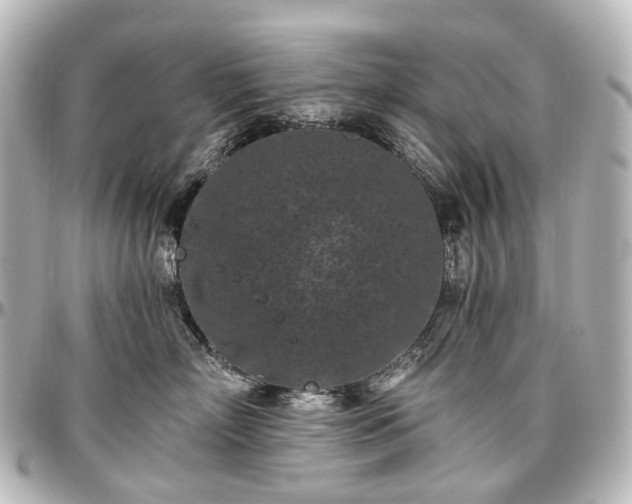 X0000097290718200802221312