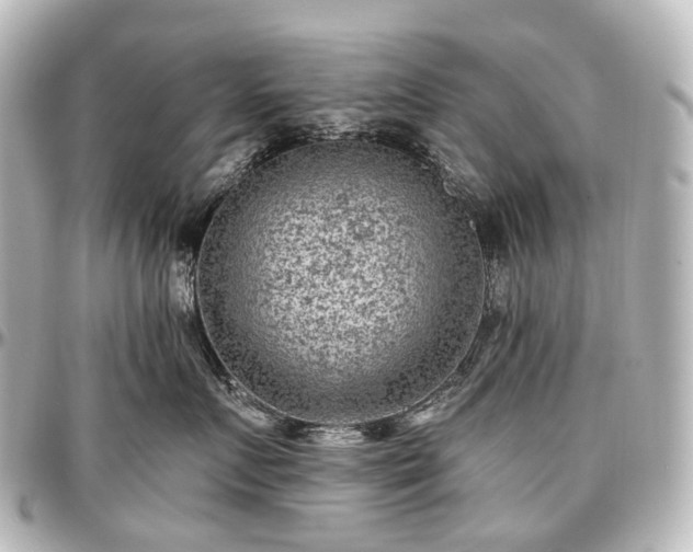 X0000097290719200802221312