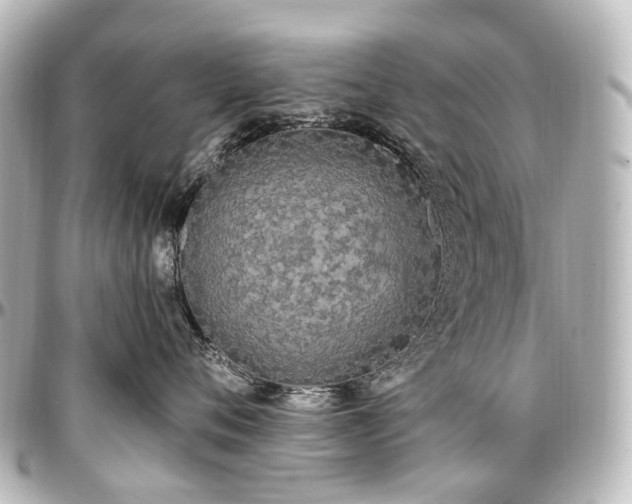 X0000097290720200802221312