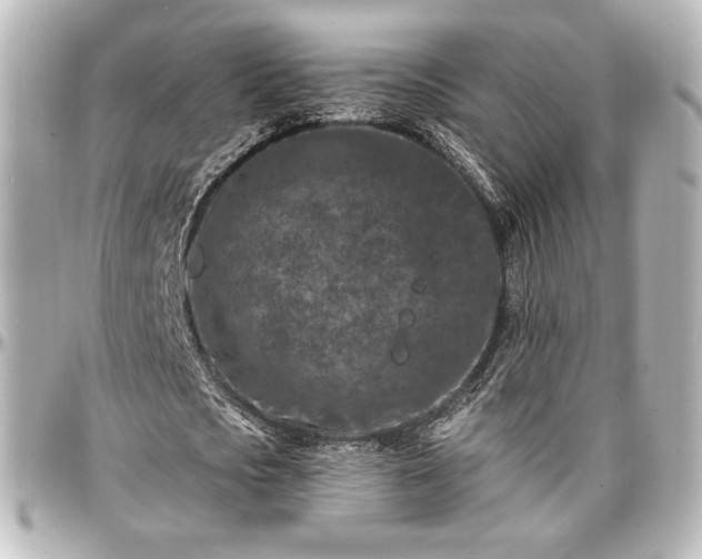 X0000097290721200802221311