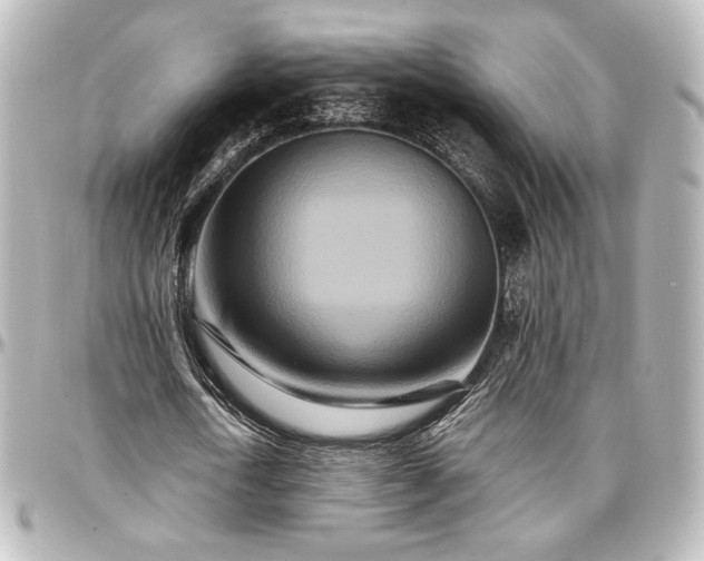 X0000097290722200802221311