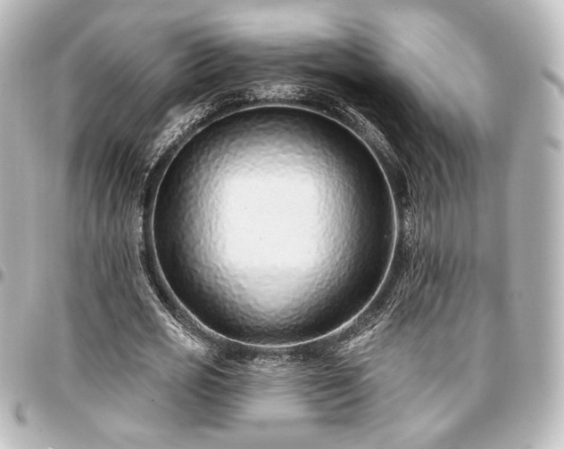 X0000097290725200802221311