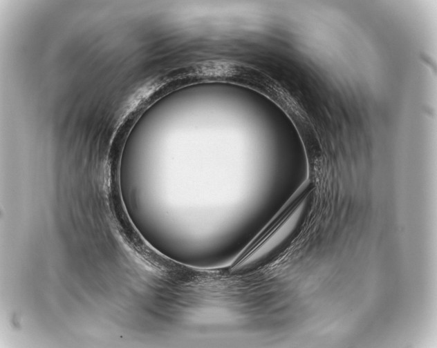 X0000097290726200802221311