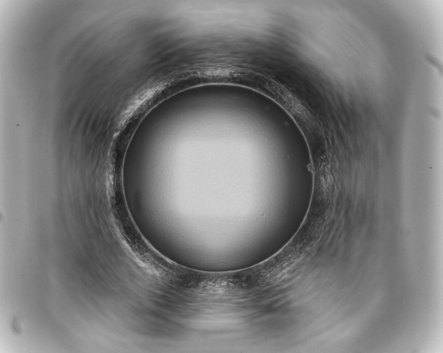 X0000097290728200802221311