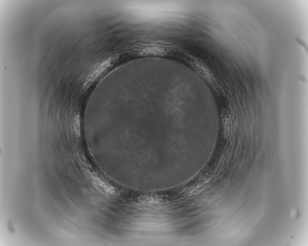 X0000097290729200802221311