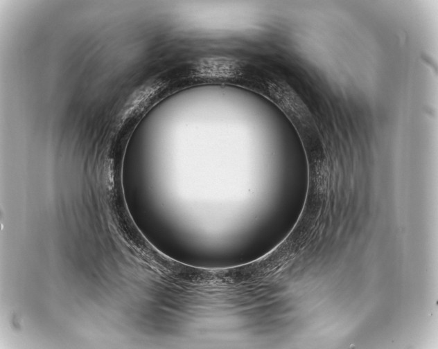 X0000097290731200802221311