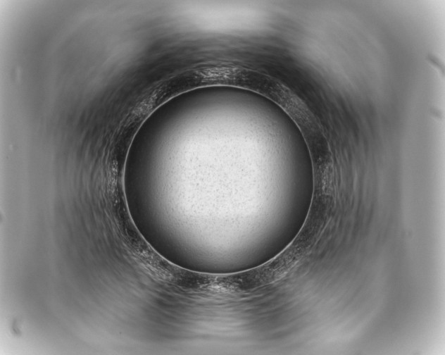 X0000097290737200802221311