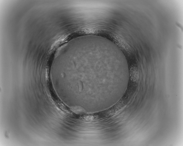 X0000097290740200802221311