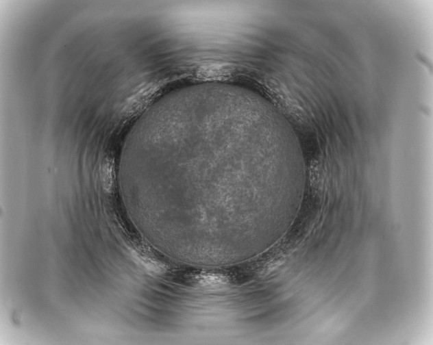 X0000097290741200802221311