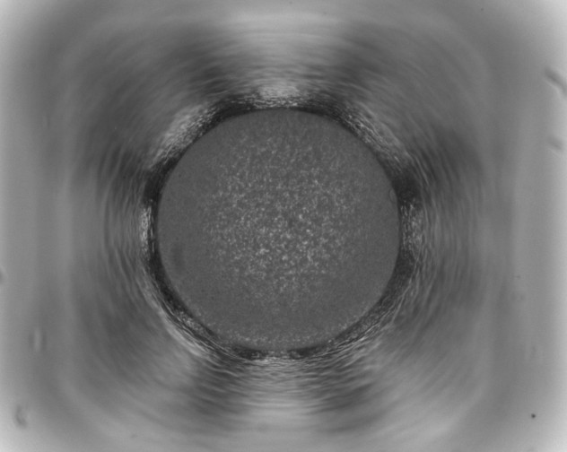 X0000097290742200802221311