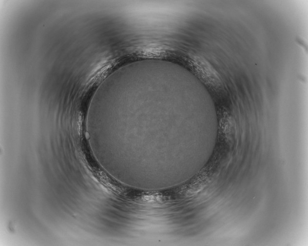 X0000097290744200802221311