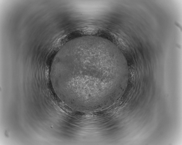 X0000097290745200802221311