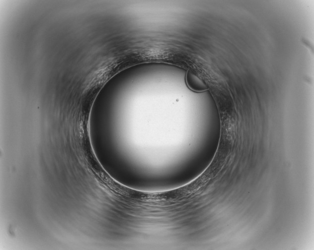 X0000097290746200802221311