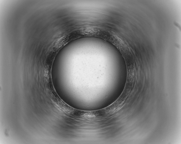 X0000097290749200802221311