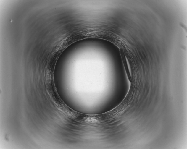 X0000097290751200802221311