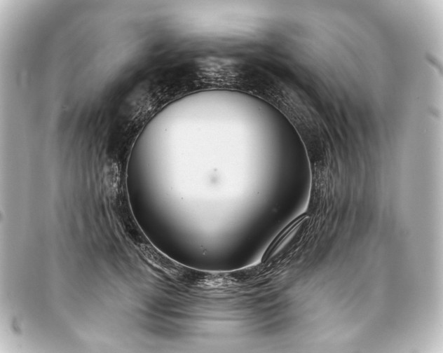 X0000097290752200802221311