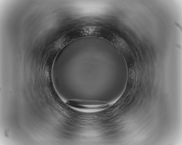 X0000097290754200802221311