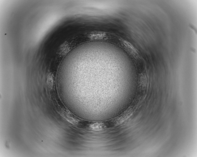 X0000097290761200802221311