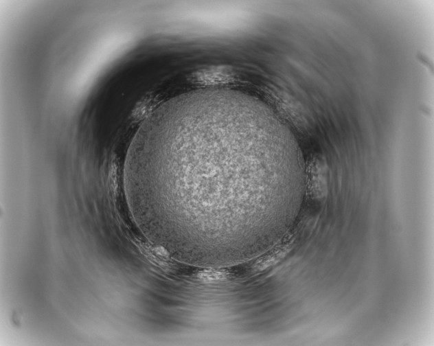 X0000097290762200802221311