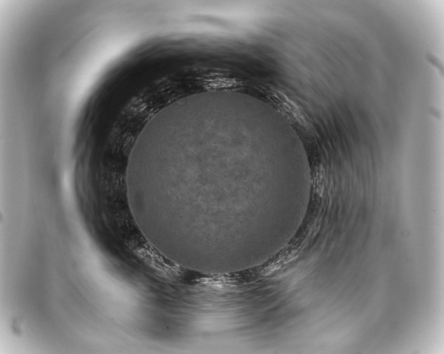 X0000097290763200802221311