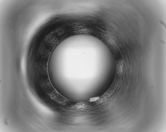 X0000097290764200802221311