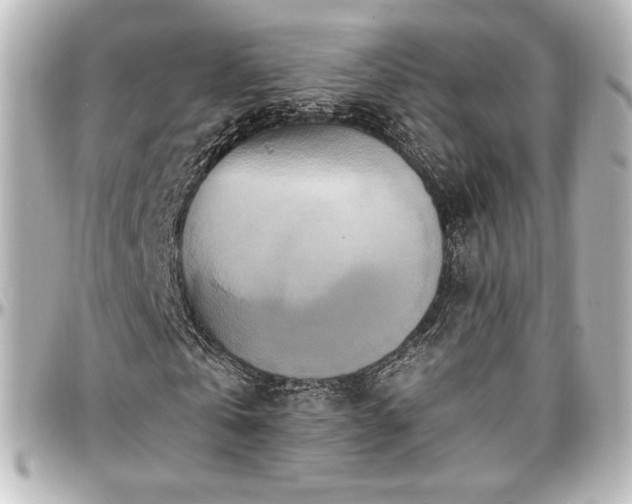 X0000097290769200802221311