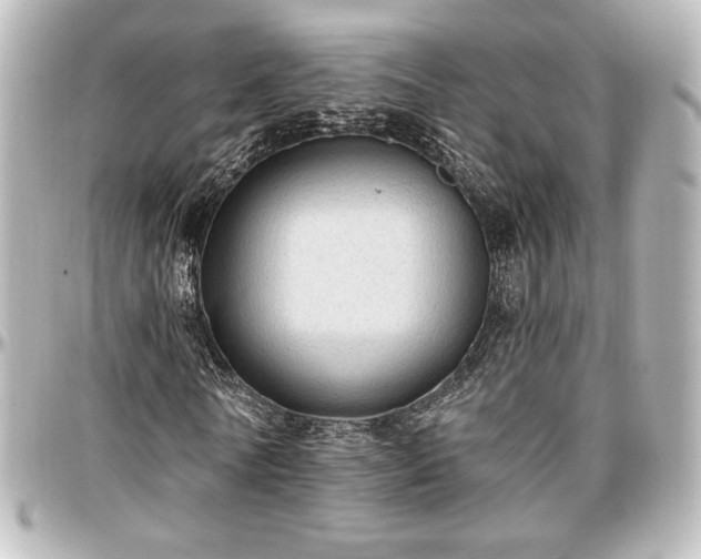 X0000097290770200802221311