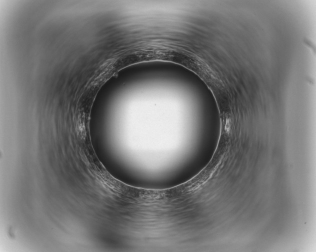 X0000097290771200802221311