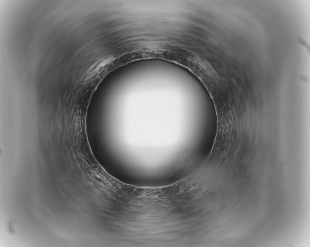 X0000097290773200802221311