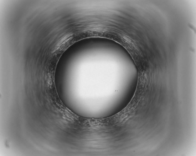 X0000097290774200802221311