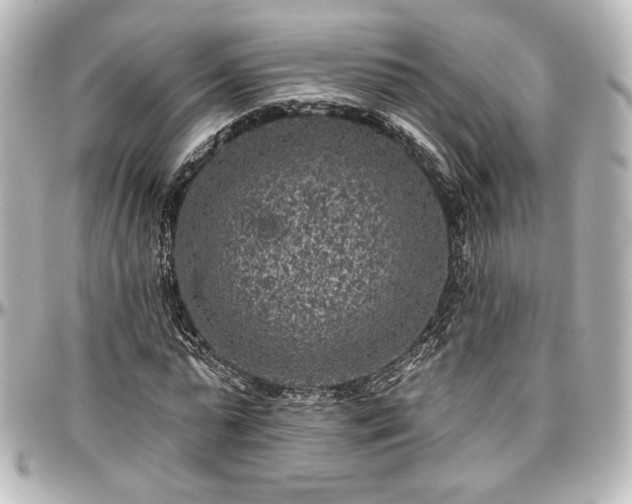 X0000097290775200802221311