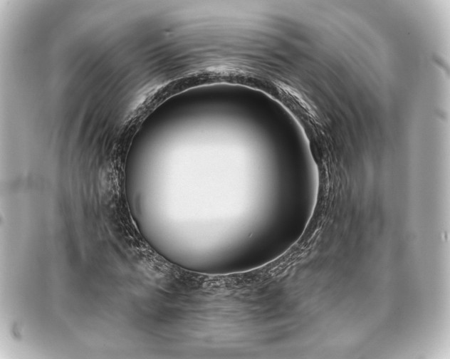 X0000097290776200802221311