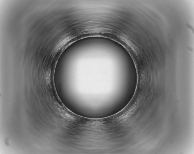X0000097290778200802221311
