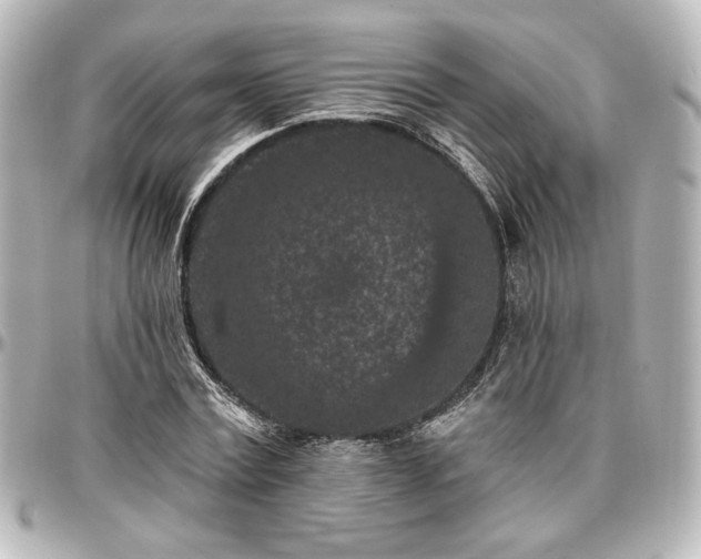 X0000097290779200802221311