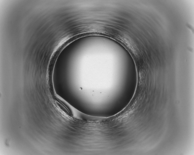 X0000097290780200802221311