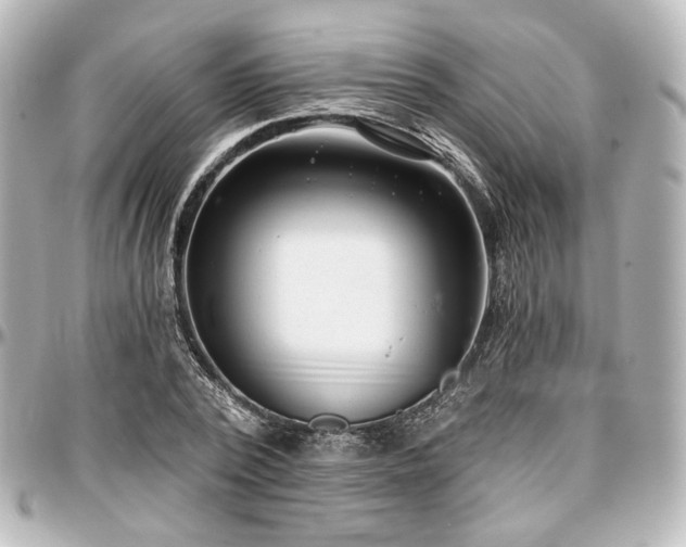X0000097290784200802221311