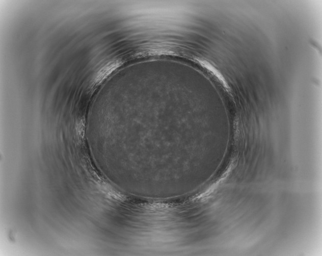 X0000097290785200802221311