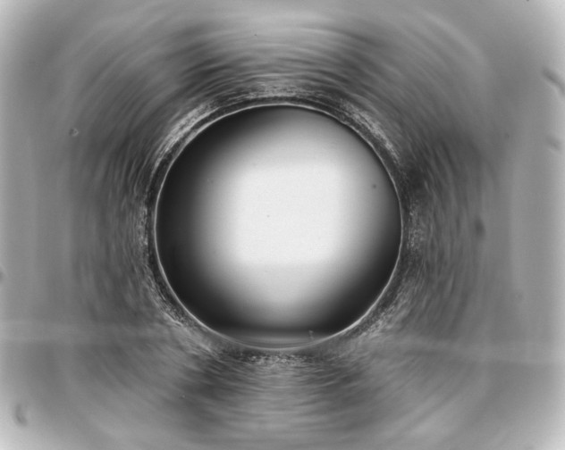 X0000097290786200802221311