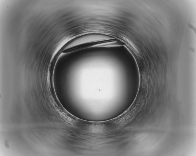 X0000097290788200802221311